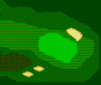 Sawgrass #05 - PGA Tour Golf