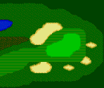 Sawgrass #14 - PGA Tour Golf