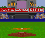 Tokyo (Pitcher/Batter View) - Super Power League (JPN)