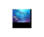 Card Background Colors & Images (Previews) - Pokémon Art Academy