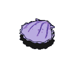 Clam - SpongeBob SquarePants: Operation Krabby Patty