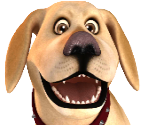 John Dog - Talking John Dog