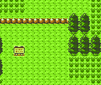Route 101 - Pokémon Customs