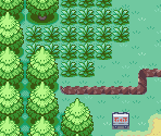 Route 101 - Pokémon Customs