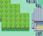 National Park - Pokémon Generation 2 Customs