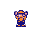 Wario (Super Mario Bros. 2 NES-Style) - Wario Customs