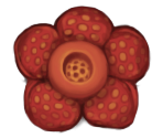Jungle Tiles - Spelunky 2