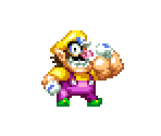 Wario - Wario Customs