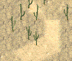 Cacti - Chris Sawyer's Locomotion