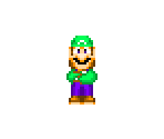 Luigi - Mario Customs