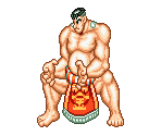 Sumo - Shogun Warriors / Fujiyama Buster