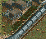 Livestock Wagon (Narrow Gauge) - Chris Sawyer's Locomotion