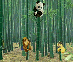 Save The Panda - Wonder Pets! Save the Animals!