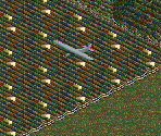 F.7 - Chris Sawyer's Locomotion