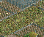 Fences and Walls - Chris Sawyer's Locomotion