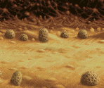 Stage Fukai - Metal Slug Attack