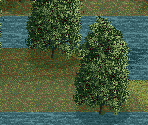 Swamp Cypress Tree - Chris Sawyer's Locomotion