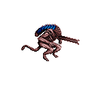 Alien Warrior (JPN) - Alien vs. Predator