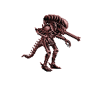 Alien Warrior - Alien vs. Predator