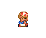 Toad - Super Mario All-Stars: Super Mario Bros. 2 - Super Mario Bros. Crossover