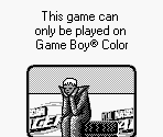 Game Boy Error Message - NASCAR Racers