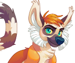 Anon (Animal) - Blush Blush