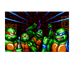 Introduction - Teenage Mutant Ninja Turtles: Tournament Fighters