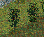 Frisia Tree - Chris Sawyer's Locomotion