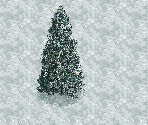 Grand Fir Tree - Chris Sawyer's Locomotion
