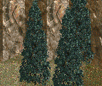 Blue Spruce Tree - Chris Sawyer's Locomotion
