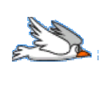 Bird - Humanitarian Helicopter