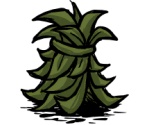 Chirpy Cloak - Don't Starve / Don't Starve Together