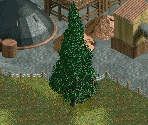 Red Cedar Tree - Chris Sawyer's Locomotion