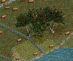 Hybrid Strawberry Tree - Chris Sawyer's Locomotion