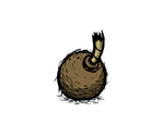 Coconade - Don't Starve / Don't Starve Together