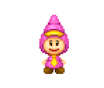 Shelltop (Pink) - Mario & Luigi: Dream Team