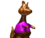Kangaroo - Sonic's Schoolhouse