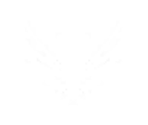 Difficulty - Ghostrunner