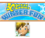 Save Icon & Banner - Family Party: 30 Great Games Winter Fun