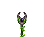 Jungle - Terraria