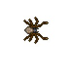 Spiders - Terraria