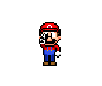 Mario - Mario Customs