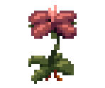 Acid Flower - The Enchanted Cave 2