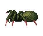 Giant Spider - The Enchanted Cave 2