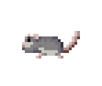 Rat - The Enchanted Cave 2