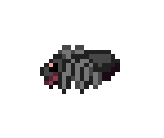 Spider - The Enchanted Cave 2