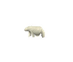 Polar Bear - Crash Twinsanity 3D
