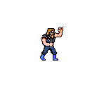 Jim Mackey - Double Dragon III: The Sacred Stones
