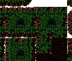 Forest - The Enchanted Cave 2
