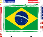 Flags - Day R Survival